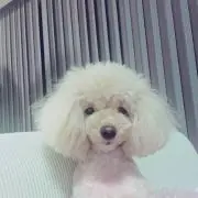 プロフ読んで下さい☆ムッチ