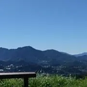 Haruの画像