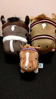 チョコの画像