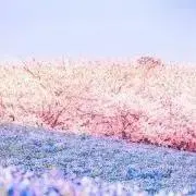 ユニコーンの画像