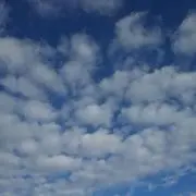 くう