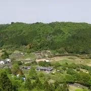 山田の画像