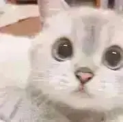 ㅎ