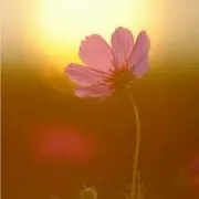 ちぃまま