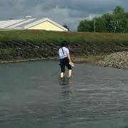 あやの画像
