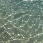 チーズオムレツの画像