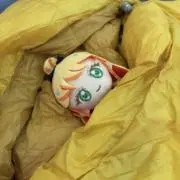 てぃーちゃんの画像
