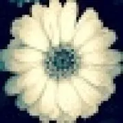 S.Kの画像