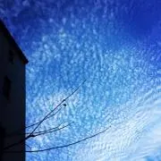 Ememの画像