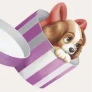 みみ レディースアイテムメインの画像