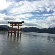 ニコルの画像