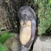 タヌキとキツネ‼️
