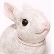 ミナの画像