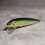 308の画像