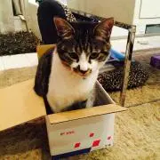 マツキヨの画像