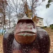 ゆう(グッズ整理中)金曜日発送の画像