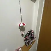 Jの画像