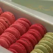 ひっこの画像