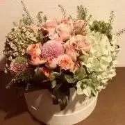 ☆pupu☆の画像