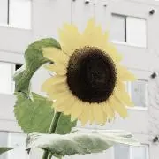 池の画像
