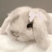 mmm.の画像