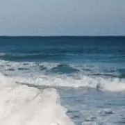 ななの画像