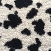 AFU37の画像