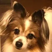 ☆未土厘☆プロフ必読