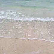 あそままの画像