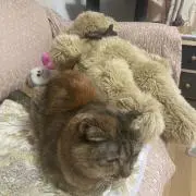 三佳