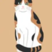 calico cat［プロフ必読］の画像