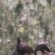 mmの画像