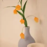 meichan.の画像