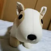 わんこの画像