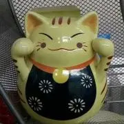 ポキポキ