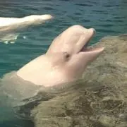 さっさん
