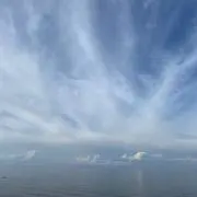 ジンボ
