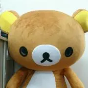 ひよの画像