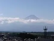 もねの画像