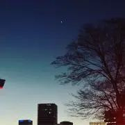 ミミミミミミミの画像