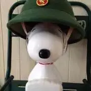 snpの画像