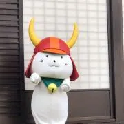 さくらの画像