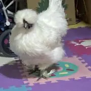 kitaちゃん
