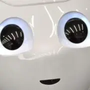 富士の画像