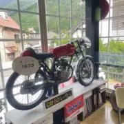 シャっギの画像