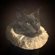 ぴなこ