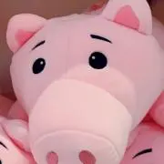 ハムの画像