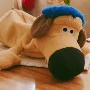 ぽーるの画像