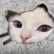 ののの画像