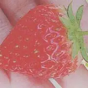 _KMF_ 自己紹介文必読の画像